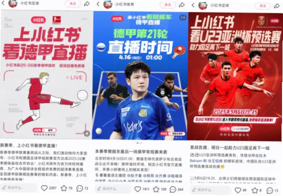 小红书世界杯笔记为何受欢迎？